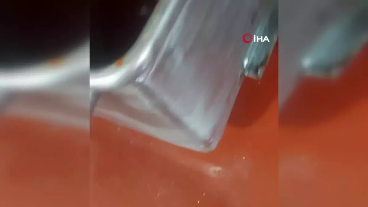 Antalya'da 17 Ton Bozuk Tavuk ve Süresi Geçmiş Gıda Ürünleri Ele Geçirildi