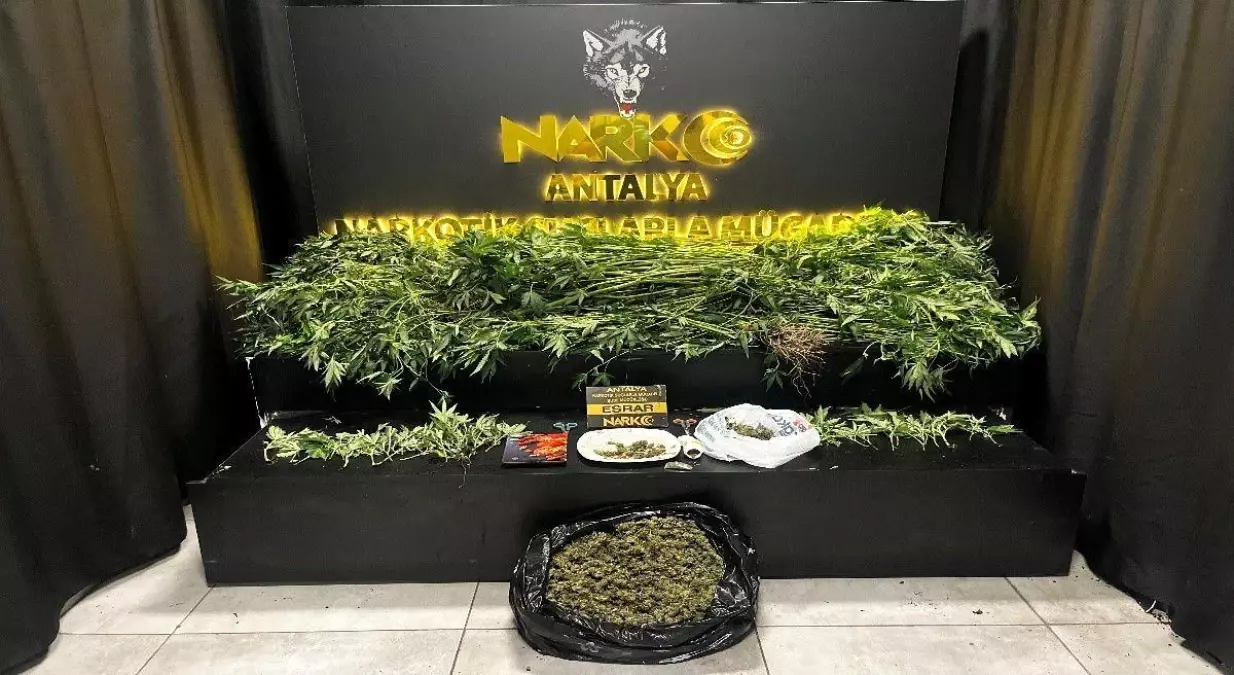 Antalya'da 42 Adrese Yönelik Uyuşturucu Operasyonu: Çok Sayıda Uyuşturucu Madde Ele Geçirildi