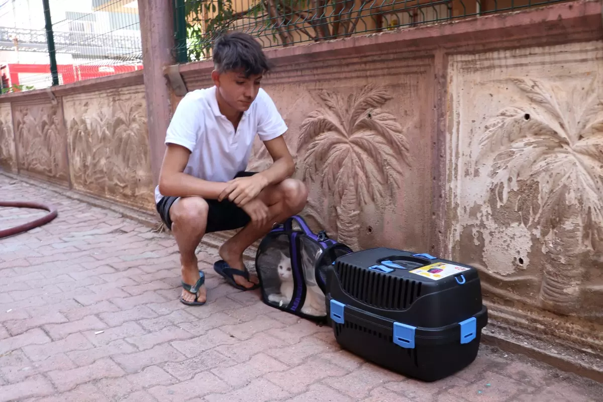 Antalya'da Yangın: Genç Kedi Sahibi Kurtardı