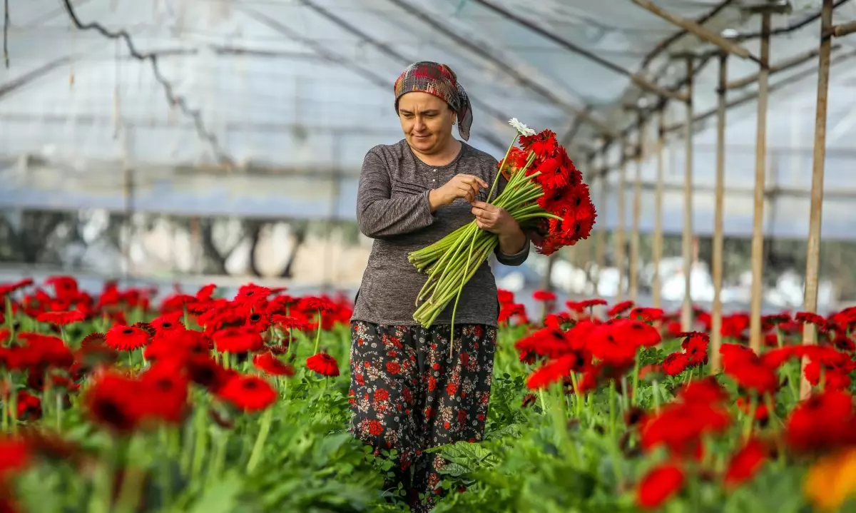 Antalya'nın İhracat Rakamları Açıklandı: Tarım Sektörü Öne Çıkıyor