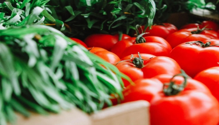 ATB kasım ayı hal endeksini açıkladı