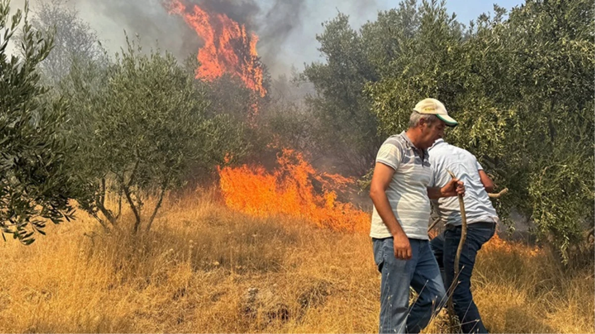 Aydın, Muğla ve Balıkesir'de orman yangını! Alevler yerleşim yerlerine ulaştı