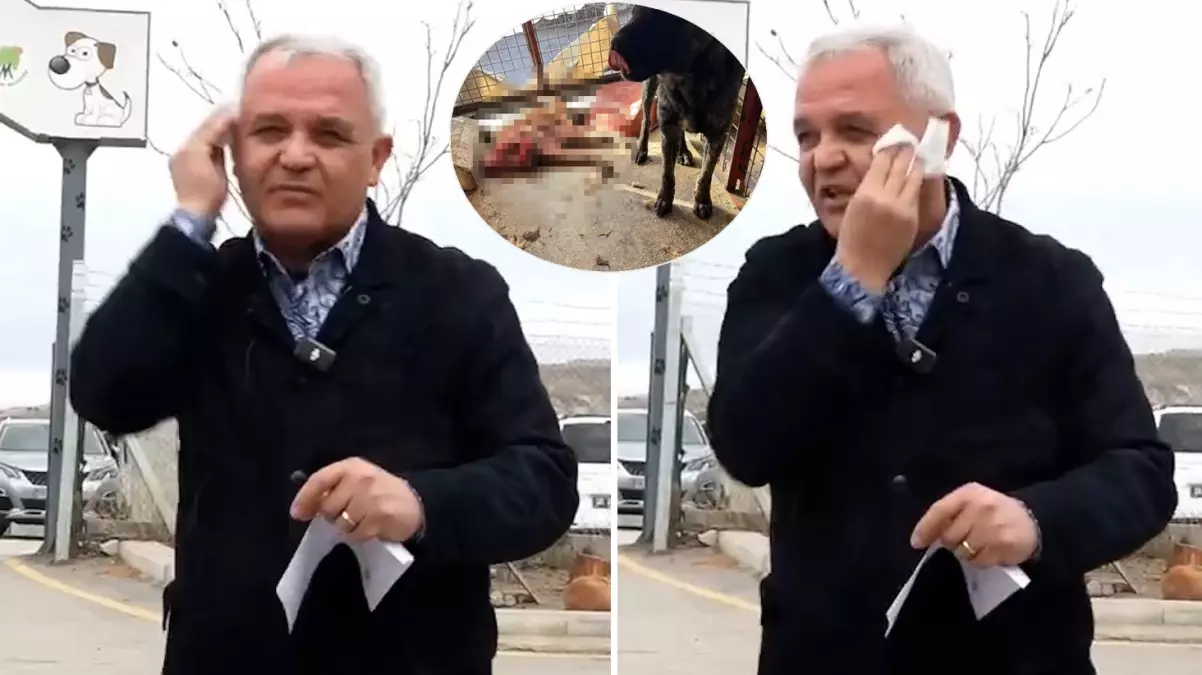 Barınak skandalı için kamera karşısına geçen belediye başkanı makyajının derdine düştü