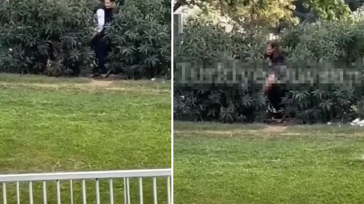 Görüntü Türkiye'den! 3 kişi güpegündüz çalılıkların arasında cinsel ilişkiye girdi