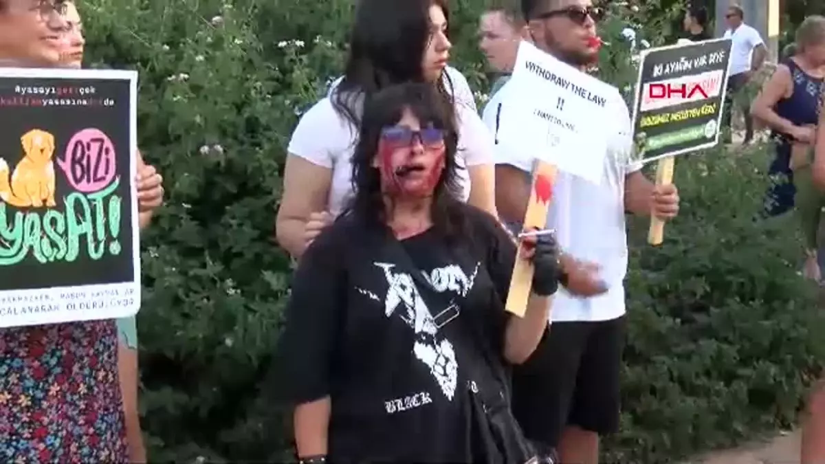 Hayvanseverler Sokak Hayvanlarına Yönelik Yasaya Tepki Gösterdi