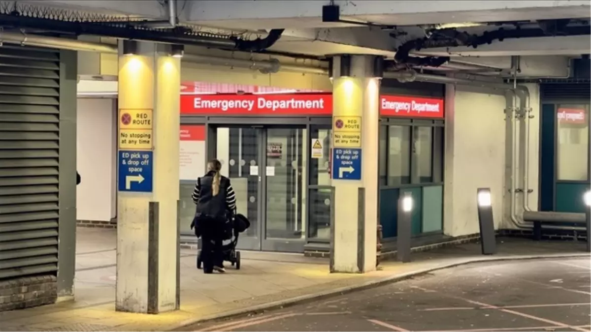 İngiltere'de M çiçeğinin yeni varyantı 