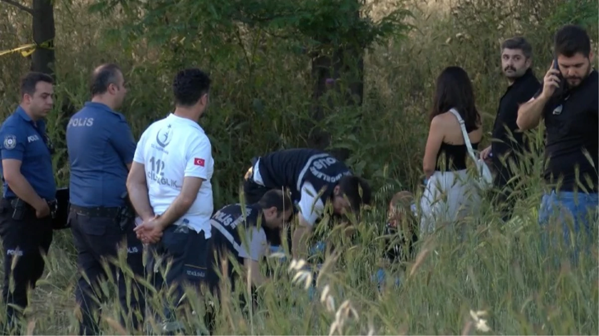Küçükçekmece'de piknik yapan vatandaşlar başından vurulmuş bir erkek cesedi buldu
