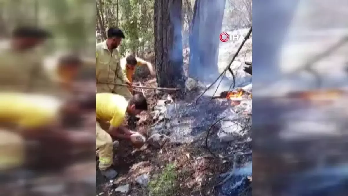 Kumluca'da 15 hektar ormanlık alan yangında zarar gördü