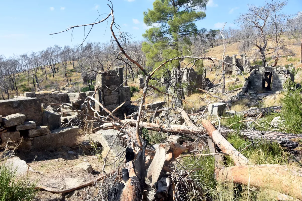 Manavgat'taki Antik Kent Yangınından Zarar Gördü