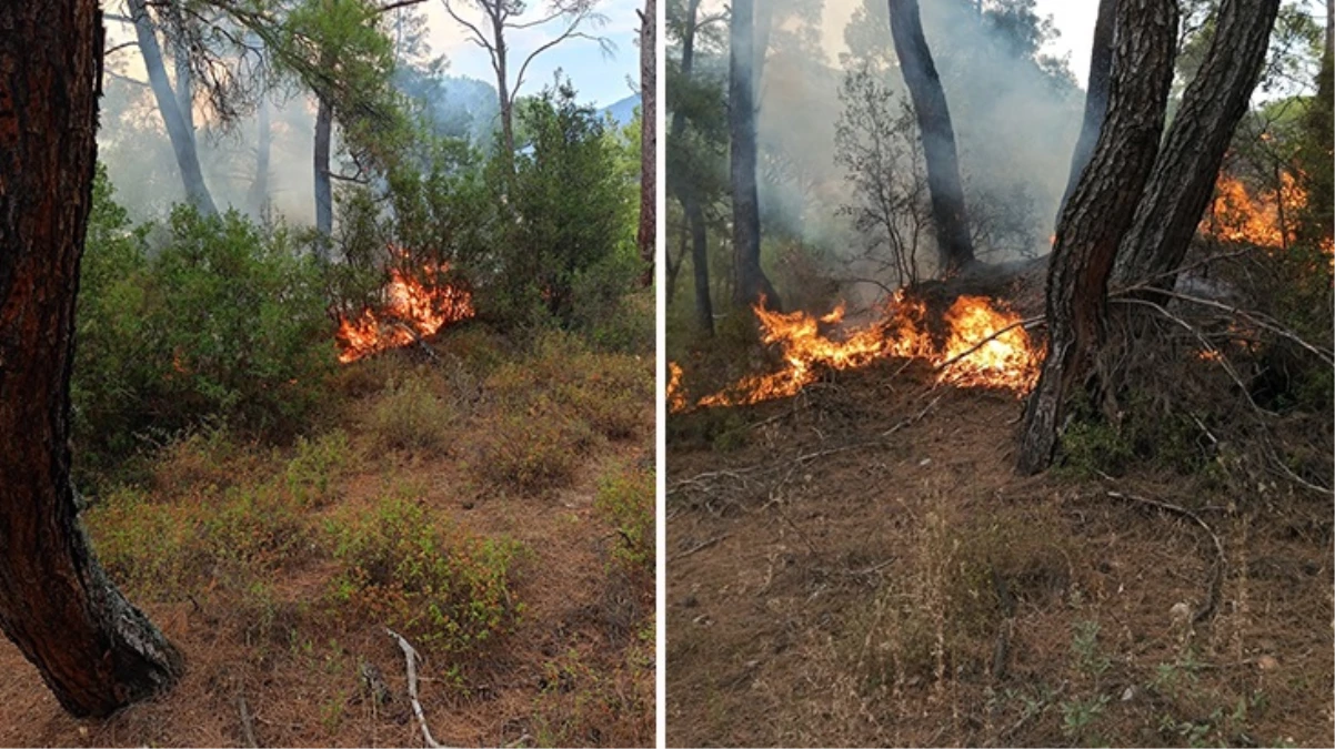 Muğla'da bir günde 11 yıldırım yangını çıktı