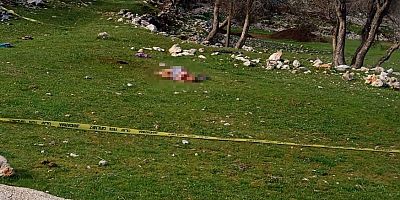 3 köpeğin saldırdığı kadın öldü