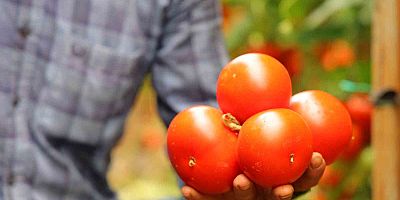 ‘Antalya’da çiftçi borç ve çaresizlik içinde’