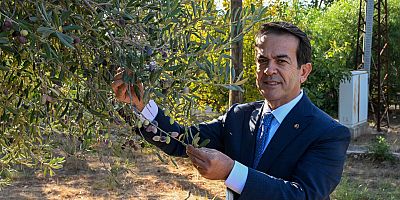 ATB’den Zeytinyağı Kalite Yarışması