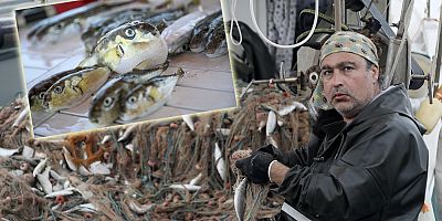 Balon balığı kuyruğuna %100 zam