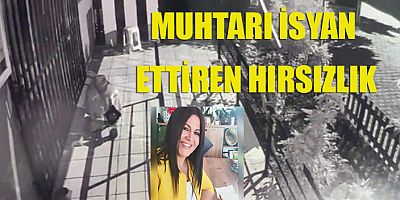 Çalınan mamalar muhtarı kızdırdı