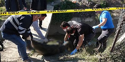Cansız bedeni bulundu