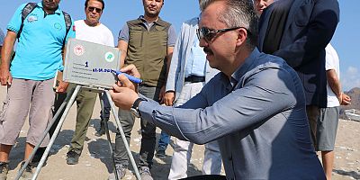  Caretta caretta sezonu erken başladı