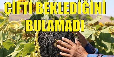 Çiftçi beklediğini bulamıyor