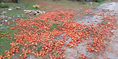 Çiftçiler Ürünlerini Çöpe Döküyor