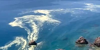 Denizdeki polen, 'müsilaj' sanıldı