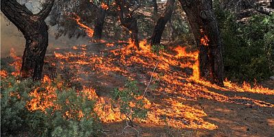 Dumanı gören telefona sarılıyor