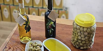 Dünyanın en sağlıklı zeytinyağının litresi 1500 TL