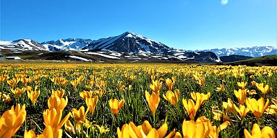 Eğrigöl'de bahar güzelliği