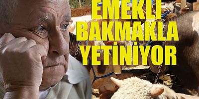 EMEKLİ BAKMAKLA YETİNİYOR