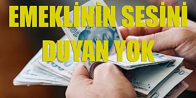 Emeklinin sesini duyan yok