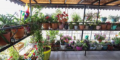 En güzel “Bahçe, Balkon ve Teras” yarışması sonuçlandı