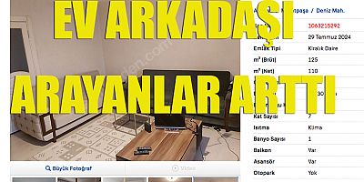 Ev arkadaşı arayan arttı
