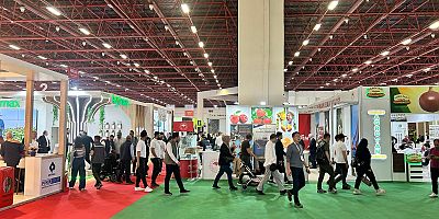 FUAR 1, ANTALYA 6 KAZANACAK