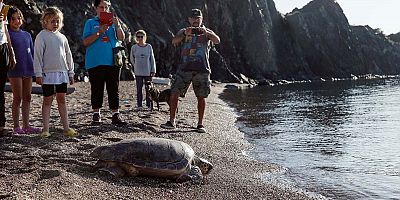 Hedef 5 bin 300'den fazla yavru