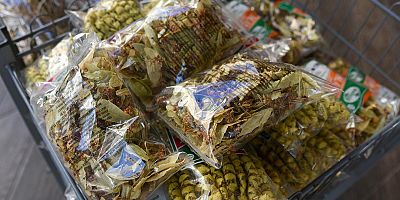 Ihlamur altınla yarışıyor