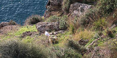 İnsan değil yastık çıktı