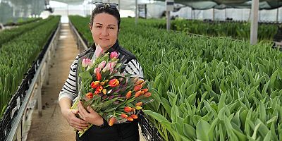 Kadınlar günü için suda 200 bin lale üretildi