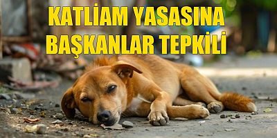 Katliam yasasına başkan tepkisi