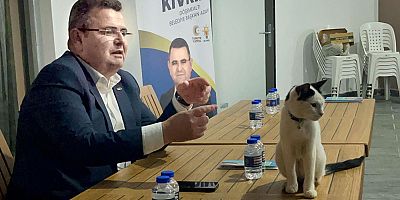 Kediyi görünce hayvan mezarlığı projesini anlattı