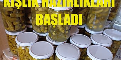 Kışlık hazırlıkları başladı