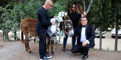 'Nesli tükenmesin' diye eşeklere sembolik nikah kıydılar