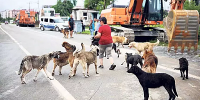 'ÖLDÜRMEYECEK, YAŞATACAĞIZ'