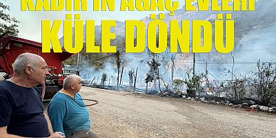 Olimpos'taki ünlü ağaç evler ikinci kez tamamen yandı