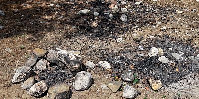 Orman yasakları sonrası 'mangal' duyarsızlığı