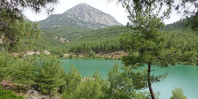 Ormanlar ihaleye çıkıyor