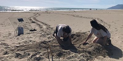 Patara'da caretta yuva rekoru