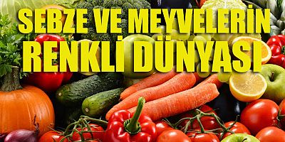 Sebze ve meyvelerin renkli dünyası 