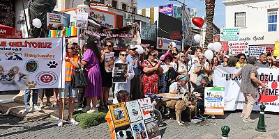 Sokak hayvanları için toplandılar