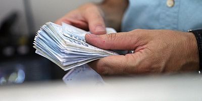 Sosyal Koruma İstatistikleri