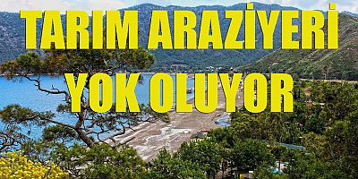 Tarım arazileri kayboluyor