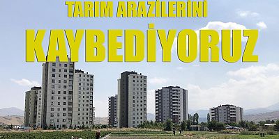‘Tarım arazilerini kaybediyoruz’